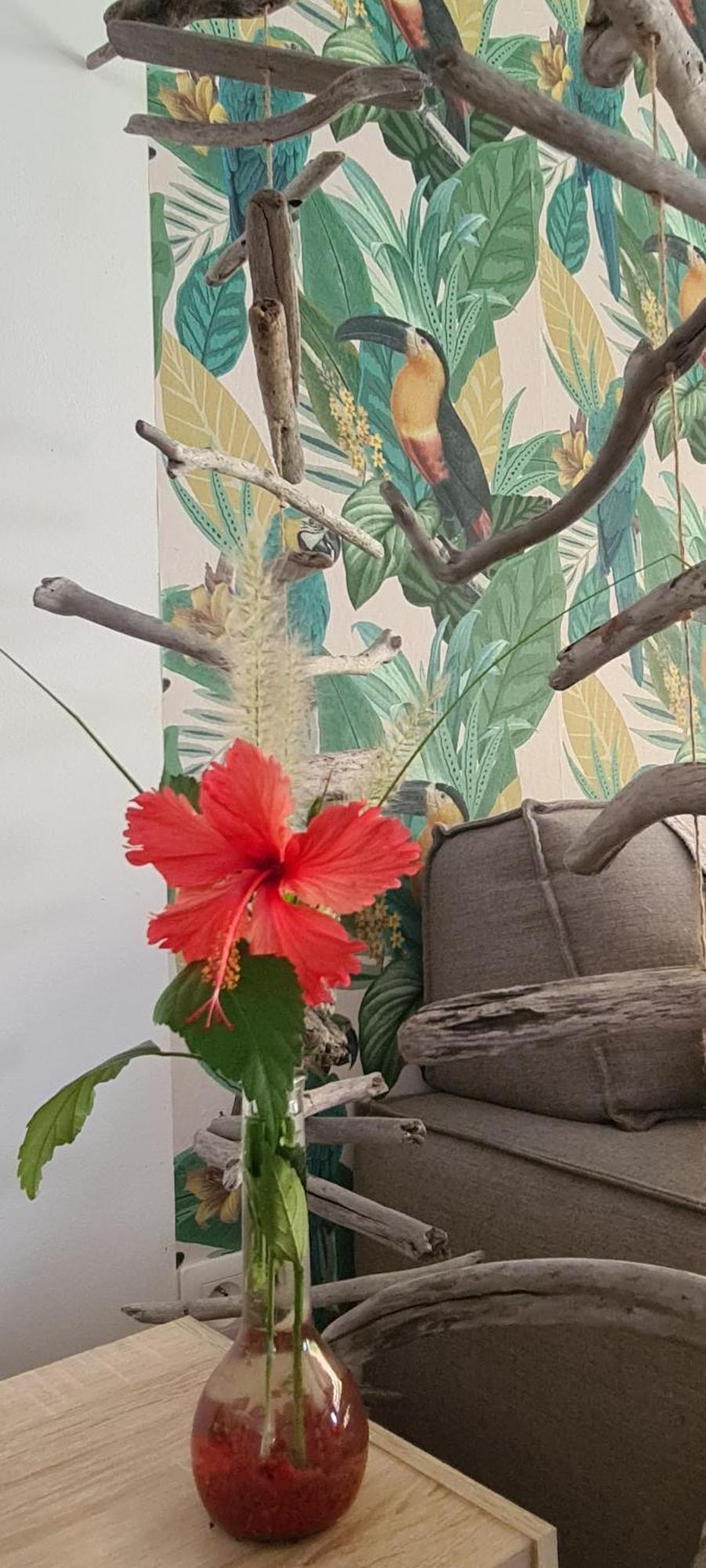 Coquet Appartement A 50 M Du Lagon Étang-Salé les Bains Buitenkant foto